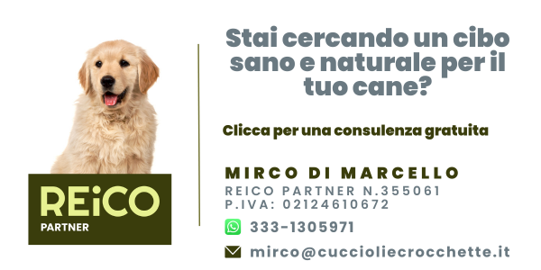 Consulenza gratuita Reico per cane e gatto