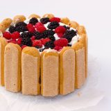 torta charlotte ai frutti di bosco