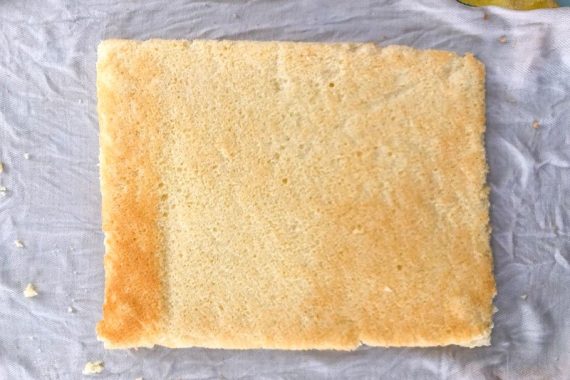 pan di Spagna per salame del re