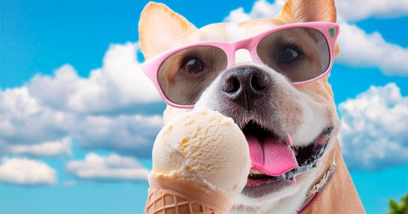 gelato per cani fai da te
